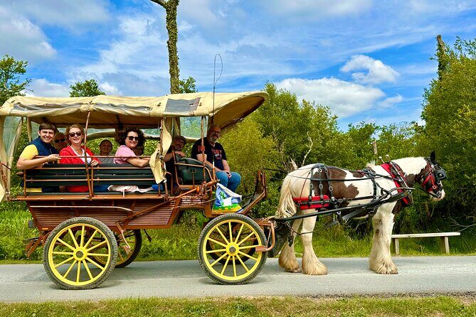 Jaunting Car Tour in Killarney National Park - Who Would Love This Tour?