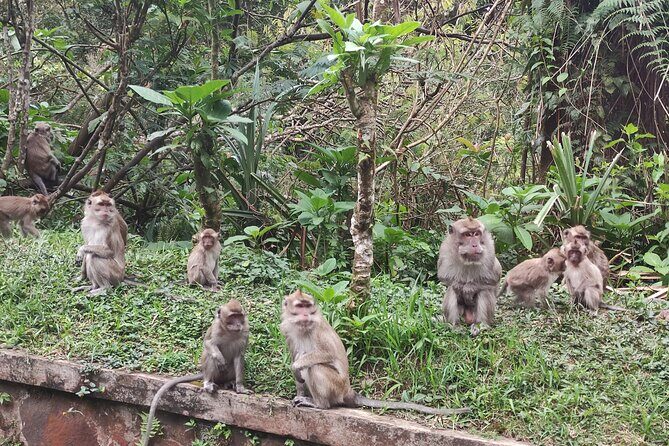 Java Classic Overland Tour - Exploring the Highlights: A Day-by-Day Breakdown