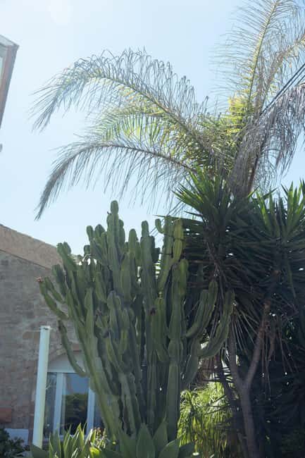 Jávea: 19/09 - Yoga & Brunch with Coffee/Tea, Juice & Cava - Practical Tips for Your Visit