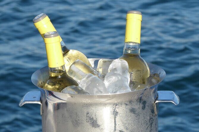 Jazz and Chill Out Cruise in Barcelona - Authentic Insights from Reviewers