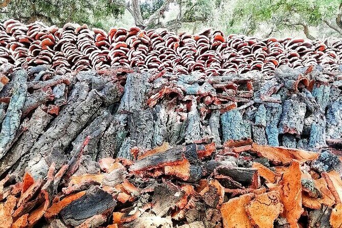 Jeep Cork Tour Experience Pack - Key Points