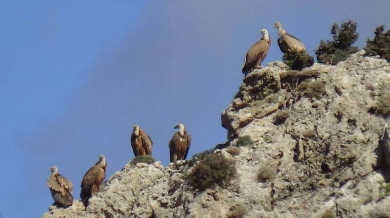 Jeep Driving Tour to Thripti Mountains and typical villages - FAQs