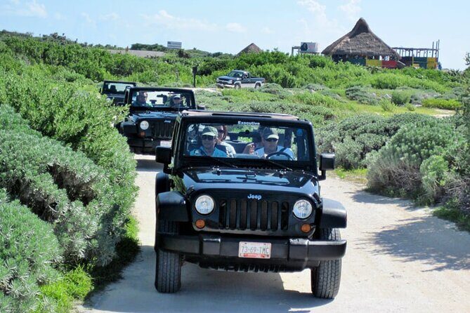 Jeep Ride at Cozumel! Snorkel + Round Transportation from Playa Del Carmen - FAQs