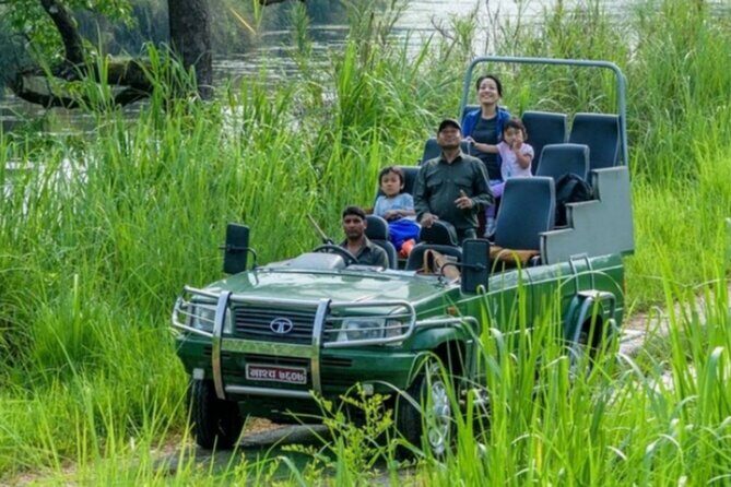 Jeep safari (4-5 hrs., Sharing) inside Chitwan National Park. - An In-Depth Look at the Chitwan Jeep Safari