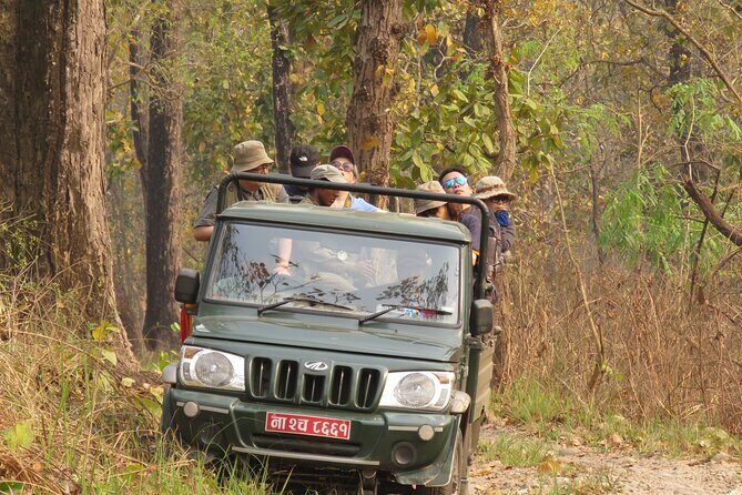 Jeep Safari (8-10 hrs., Private)inside Chitwan National Park. - An In-depth Look at the Jeep Safari Experience