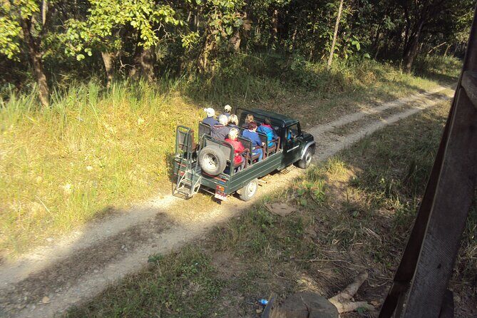 Jeep Safari (8-10 hrs., Private)inside Chitwan National Park. - Who Will Love This Tour?