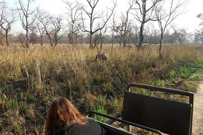 Jeep Safari (8-10 hrs., Private)inside Chitwan National Park. - The Sum Up
