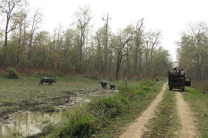 Jeep Safari (8-10 hrs., Private)inside Chitwan National Park. - FAQ