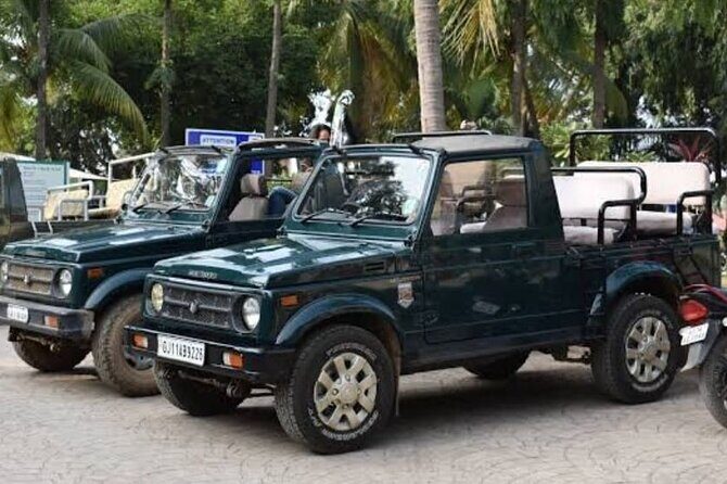 Jeep Safari: A Skip the line access to Devalia Safari Park India - Final Thoughts: Who Should Consider This Safari?