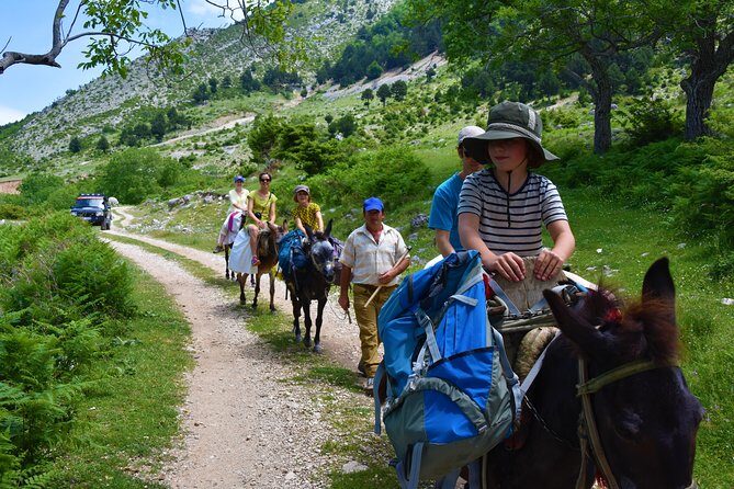 Jeep Safari Berat Hiking and picnic lunch in Tomori Holy Mount - Why the Reviews Love It