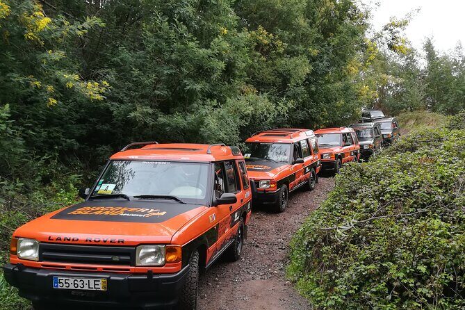 Jeep Safari Câmara de Lobos Cabo Girão Half Day Tour - Final Words