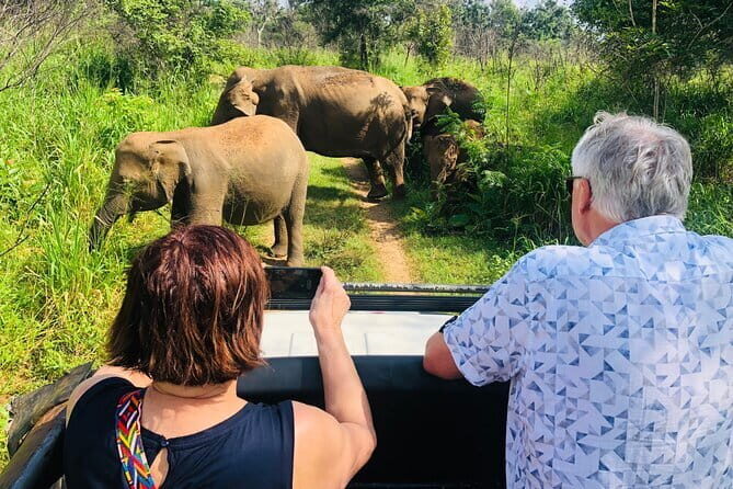 Jeep Safari - A Closer Look at the Tuk-Tuk Safari