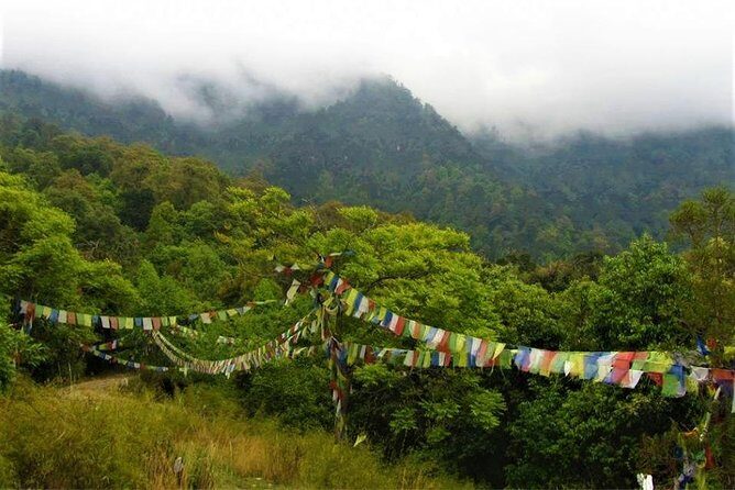 Jeep Safari in Nagarjun forest at Kathmandu - Practical Details: What’s Included and What’s Not