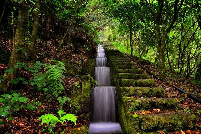 Jeep Safari in Pico Areeiro Santana Faial Full Day Tour - Coastal and Scenic Highlights