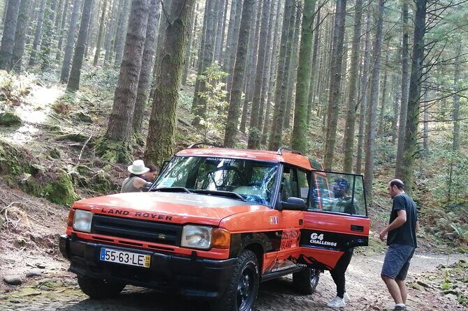 Jeep Safari in Pico Areeiro Santana Faial Full Day Tour - Why This Tour Works