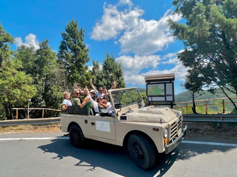 Jeep safari in the Aspromonte National Park - Who Would Enjoy This Tour?