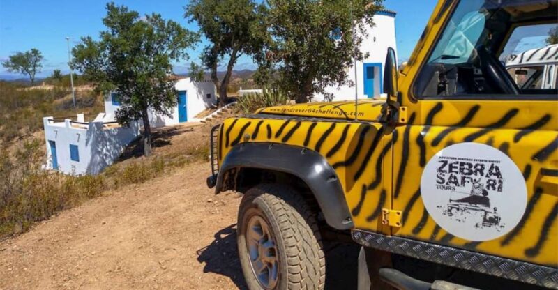 Jeep Safari Tour - Full Day - What You Can Expect from This Full-Day Adventure