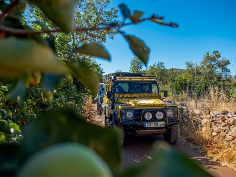 Jeep Safari Tour - Full Day - What Makes This Tour Stand Out