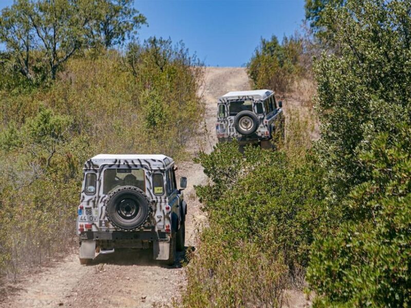 Jeep Safari Tour - Full Day - In-Depth: Why the Experience Matters