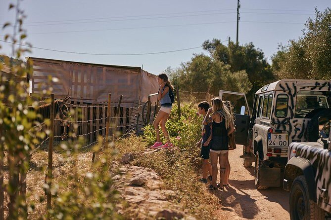Jeep Safari Tour - Full Day - The Itinerary: What to Expect at Each Stop