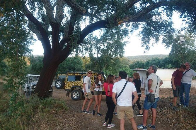 Jeep Safari Tour - Full Day - Final Thoughts