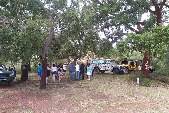 Jeep Safari Tour - Half Day - Authentic Experiences and Hidden Gems