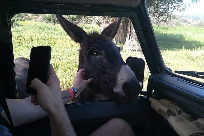 Jeep Safari Troodos - Kykkos monastery Waterfall and Venetian bridge from PAPHOS - Key Points