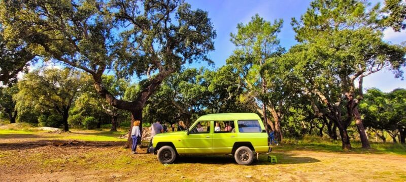 Jeep Safari with Winery Visit & Wine Tasting included - Key Points