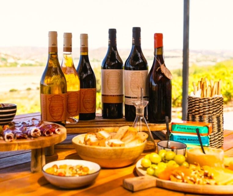 Jeep Safari with Winery Visit & Wine Tasting included - A Deep Dive into the Experience