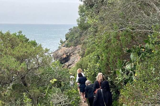 Jeep Tour through Arrábida Azeitão and Wine Tasting - Wine Tasting at José Maria de Fonseca