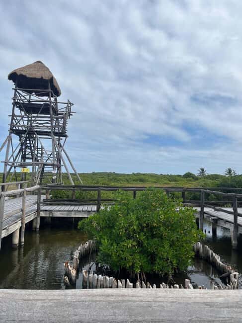 Jeep Tour to Punta Sur Eco Beach Park with Lunch - Final Thoughts