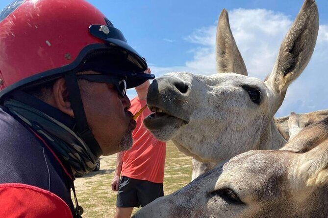 Jeep Wrangler Jk Hardtop 4 door - Key Points