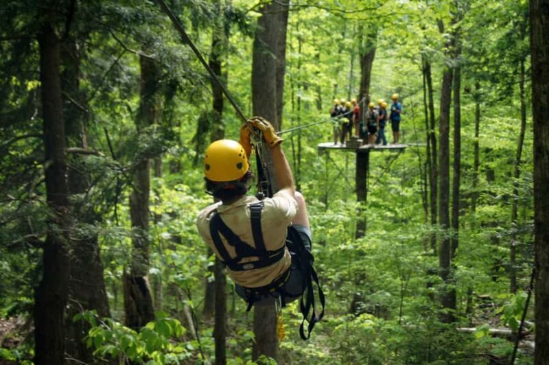 Jeffersonville, VT: ArborTrek Zipline Canopy Tour - What Travelers Say