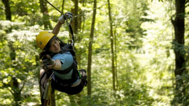 Jeffersonville, VT: ArborTrek Zipline Canopy Tour - The Sum Up