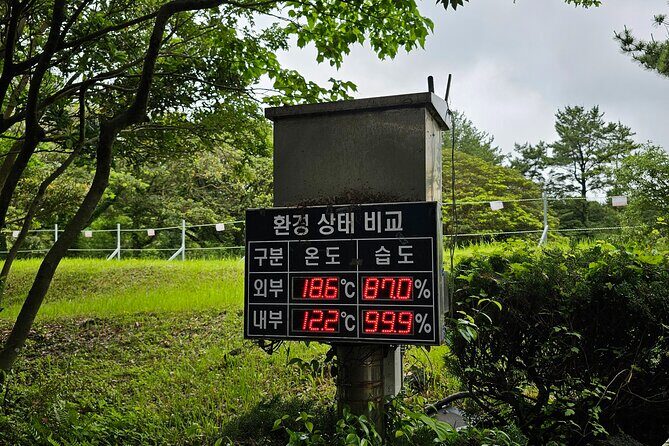 Jeju Day Tour - World Heritage & UNESCO - The Itinerary Breakdown