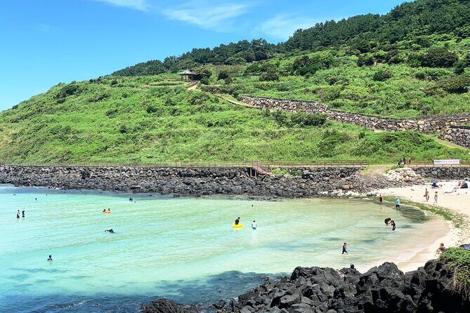 Jeju East Hydrangea Tour with UNESCO site - A Day in Jeju: What to Expect
