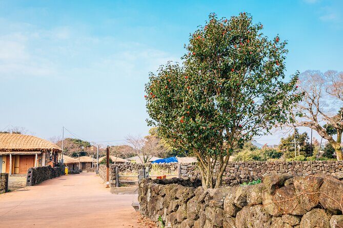 Jeju Eastern Must visit Unesco Bus Tour - Exploring Ilchul Land’s Botanical Wonders