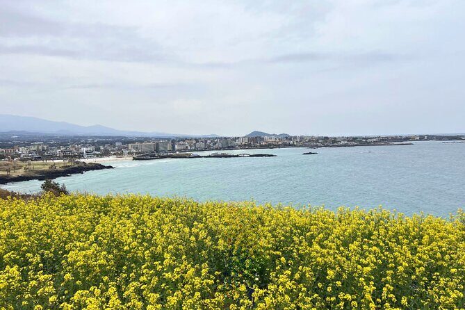 Jeju Eastern Must visit Unesco Bus Tour - A Peek into the Past at Seongeup Folk Village
