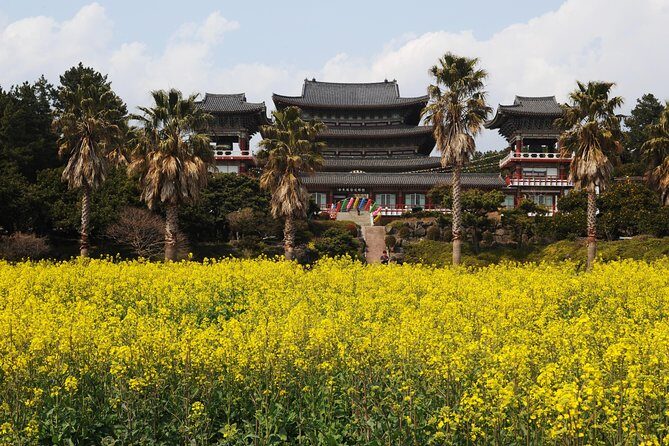 [Jeju Island] Customizable Private Taxi Tour - FAQ