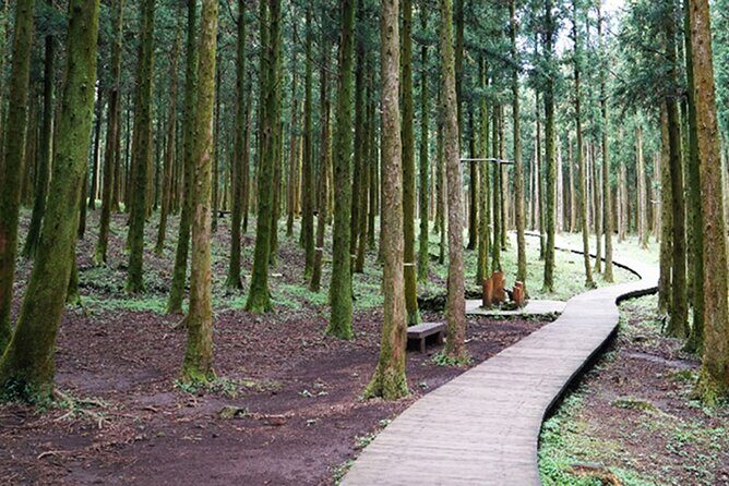 Jeju Island East UNESCO Day Tour - Final Thoughts