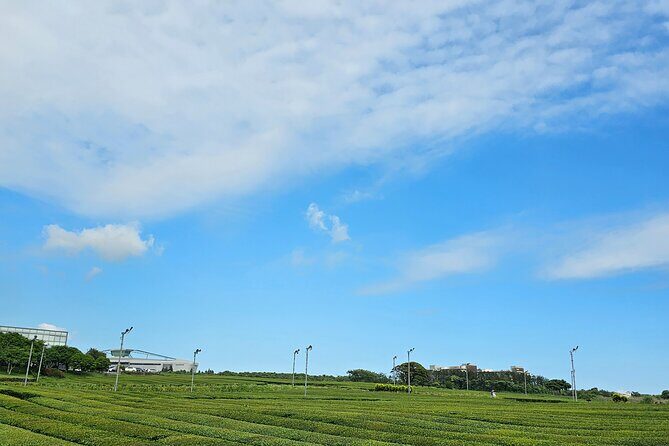jeju island private taxi tour-West & South of JEJU - Exploring the Itinerary in Depth
