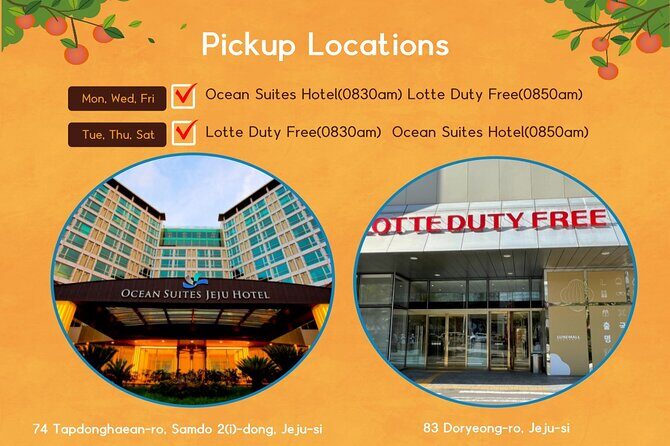 Jeju Island Taxi Join Tour - Price & Value: Is It Worth It?
