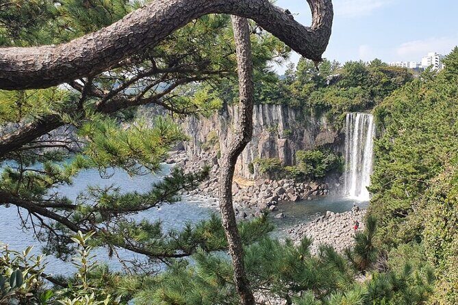 Jeju Island Taxi Join Tour - Who Is This Tour Best For?