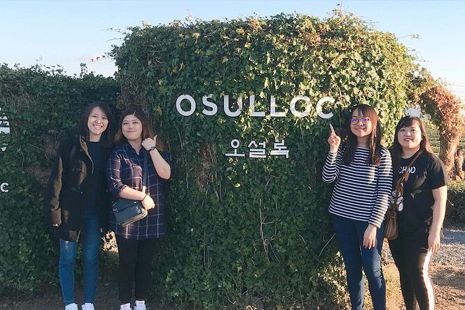Jeju Island Taxi Tour : South Day Tour - A Deep Dive into the Jeju Island Private Taxi Tour