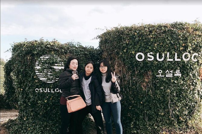 Jeju Island Taxi Tour - West Day Tour - Who Is This Tour Best For?