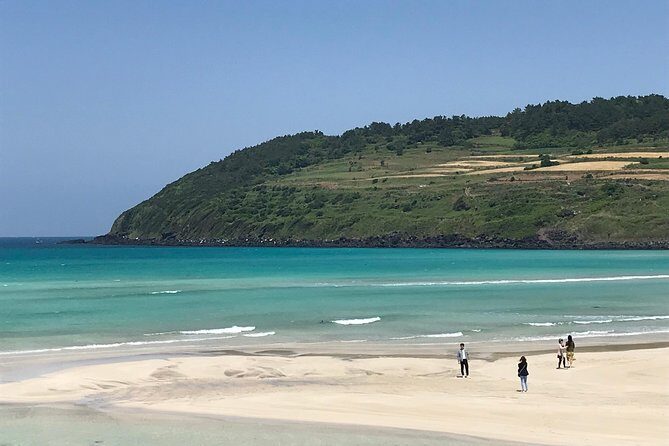 Jeju island: Van tour with a guide who the most loves JEJU - Practical Details
