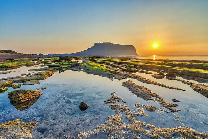 Jeju Private Car Charter Tour - Practical Details: What You Need to Know
