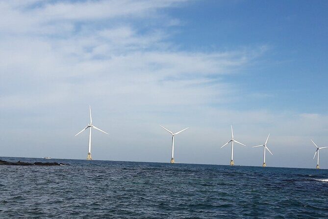 jeju Private Day Taxi tour - West of Jeju Island - Who Should Consider This Tour?