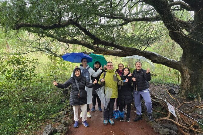 Jeju Private Half-Day Tour for Cruise Customers - Visiting Seongeup Folk Village