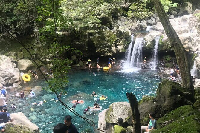 Jeju Private Half-Day Tour for Cruise Customers - Flexibility and Customization